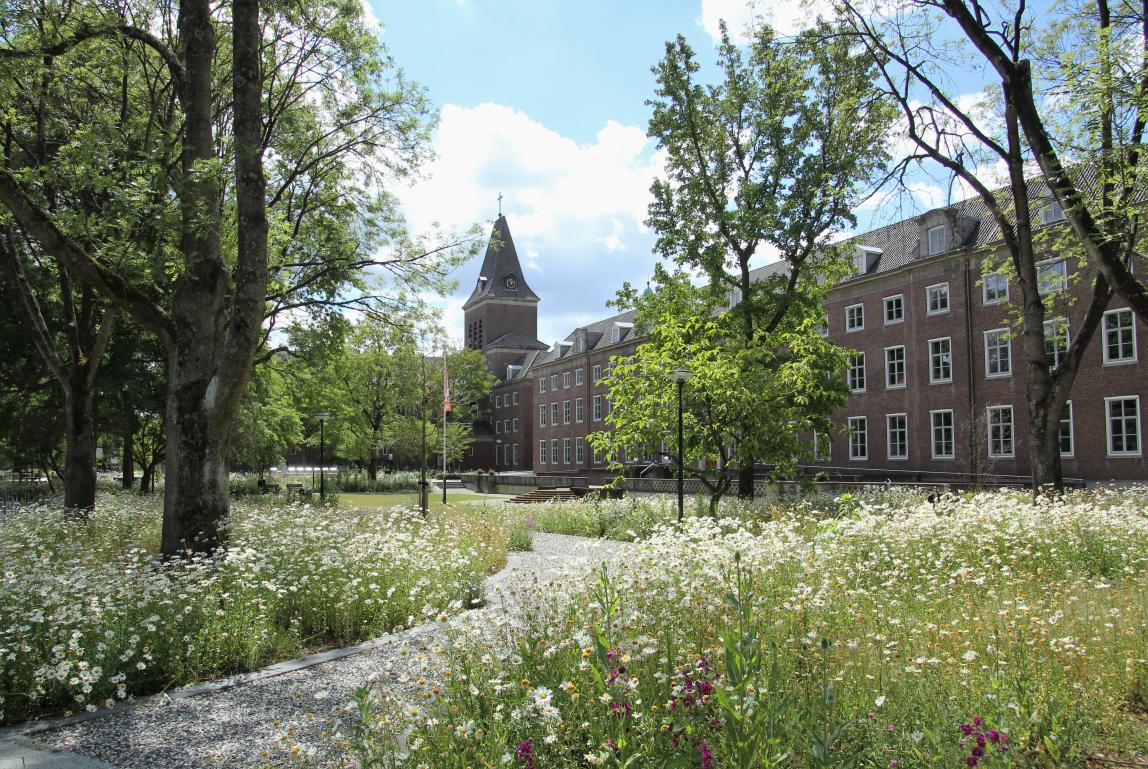 Join us in Breda for ENTER26 eTourism conference
