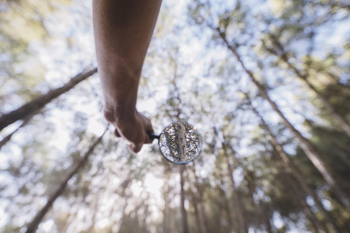RTIS to host the International Research Symposium on Resilient LTH Ecosystems